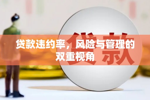 五华贷款违约率，风险与管理的双重视角