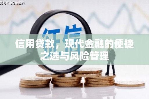 五华信用贷款，现代金融的便捷之选与风险管理