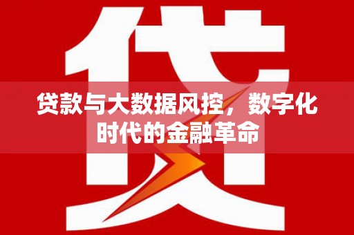 五华贷款与大数据风控，数字化时代的金融革命