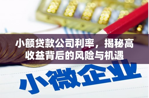 五华小额贷款公司利率，揭秘高收益背后的风险与机遇