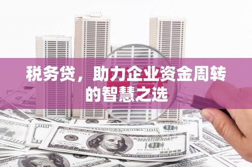 五华税务贷，助力企业资金周转的智慧之选