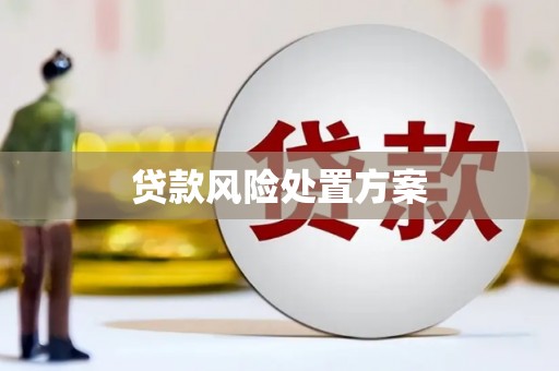 五华贷款风险处置方案