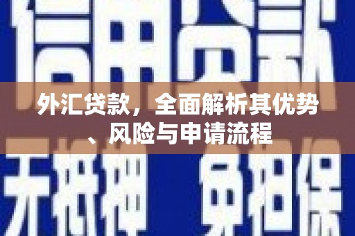 五华外汇贷款，全面解析其优势、风险与申请流程
