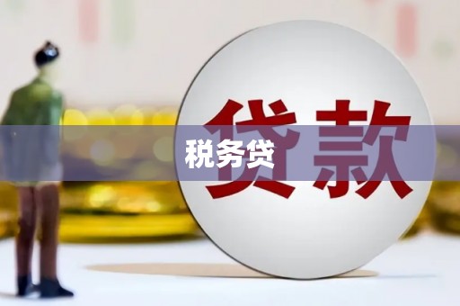 五华税务贷