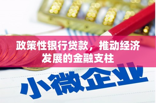 五华政策性银行贷款，推动经济发展的金融支柱