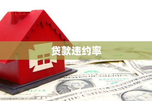 五华贷款违约率
