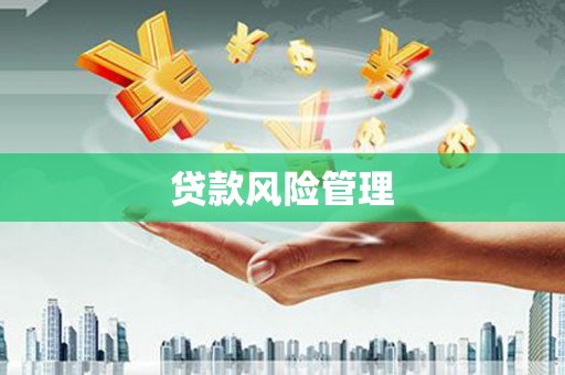 五华贷款风险管理