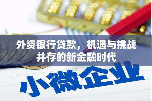 五华外资银行贷款，机遇与挑战并存的新金融时代
