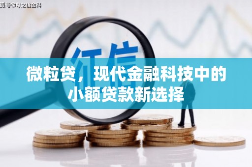 五华微粒贷，现代金融科技中的小额贷款新选择