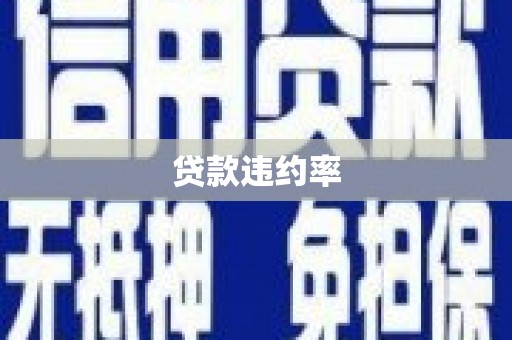 五华贷款违约率