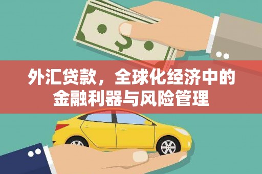 五华外汇贷款，全球化经济中的金融利器与风险管理