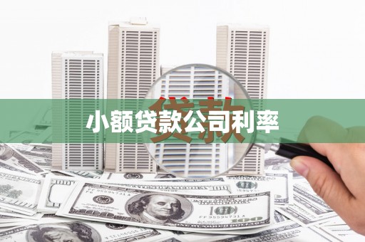 五华小额贷款公司利率
