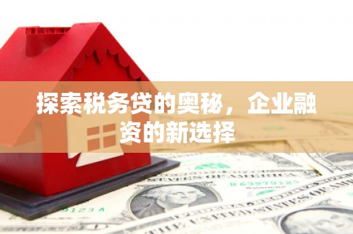 五华探索税务贷的奥秘，企业融资的新选择
