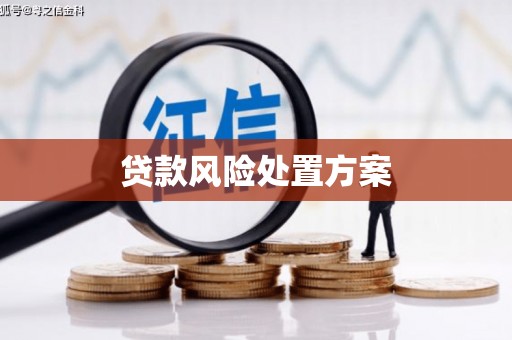 五华贷款风险处置方案