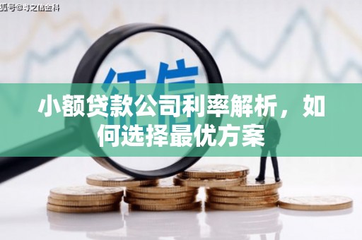 五华小额贷款公司利率解析，如何选择最优方案