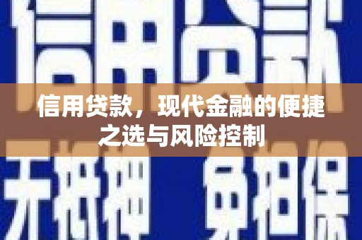 五华信用贷款，现代金融的便捷之选与风险控制
