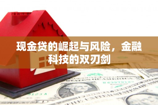 五华现金贷的崛起与风险，金融科技的双刃剑