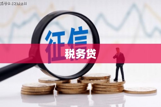 五华税务贷