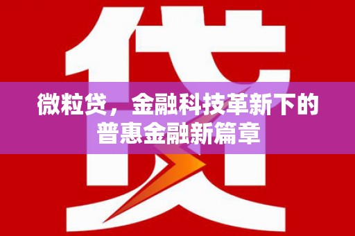 五华微粒贷，金融科技革新下的普惠金融新篇章