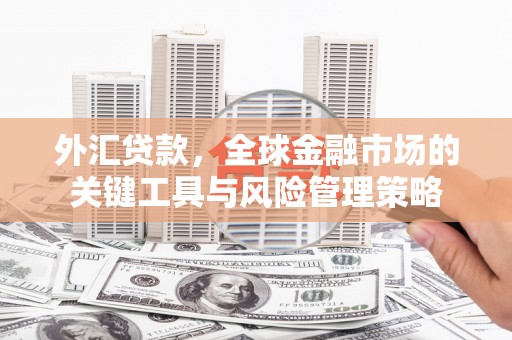 五华外汇贷款，全球金融市场的关键工具与风险管理策略