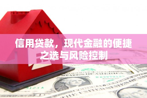 五华信用贷款，现代金融的便捷之选与风险控制