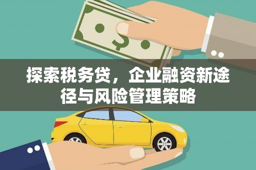 五华探索税务贷，企业融资新途径与风险管理策略