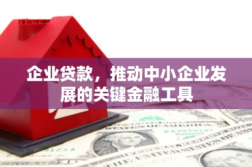五华企业贷款，推动中小企业发展的关键金融工具