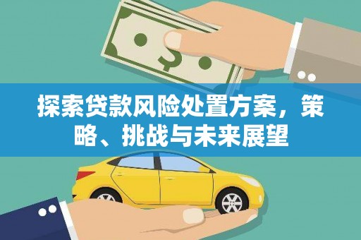 五华探索贷款风险处置方案，策略、挑战与未来展望