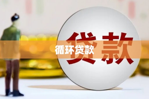 五华循环贷款