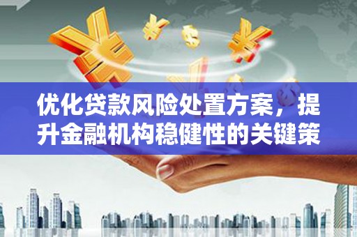 五华优化贷款风险处置方案，提升金融机构稳健性的关键策略