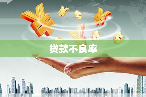 五华贷款不良率