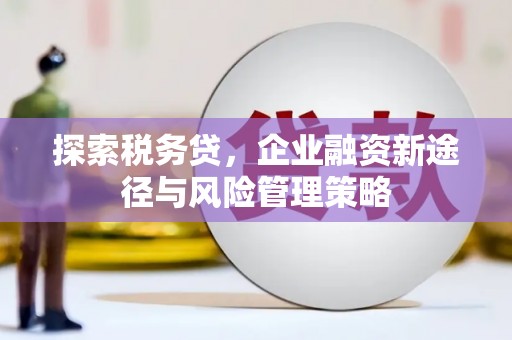 五华探索税务贷，企业融资新途径与风险管理策略