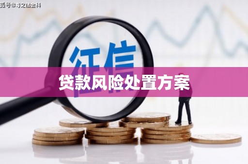 五华贷款风险处置方案