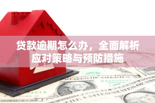 五华贷款逾期怎么办，全面解析应对策略与预防措施