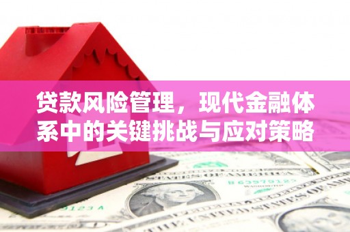 五华贷款风险管理，现代金融体系中的关键挑战与应对策略