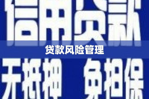 五华贷款风险管理