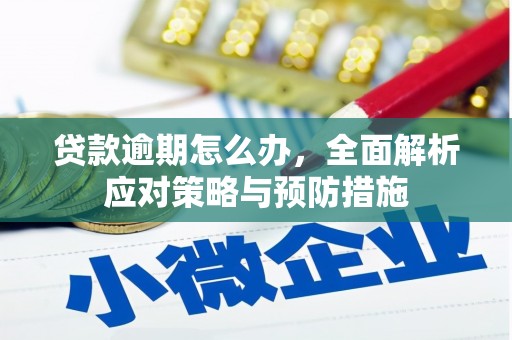 五华贷款逾期怎么办，全面解析应对策略与预防措施