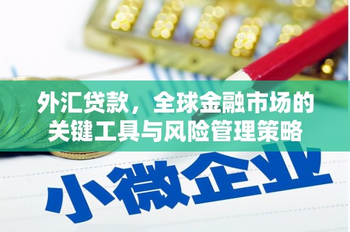 五华外汇贷款，全球金融市场的关键工具与风险管理策略