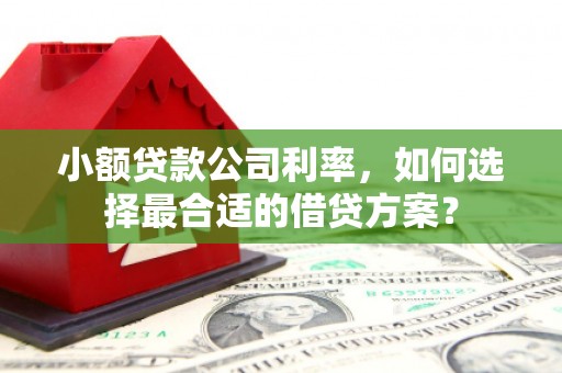 五华小额贷款公司利率，如何选择最合适的借贷方案？