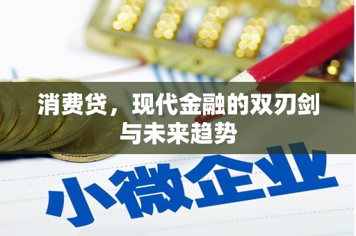 五华消费贷，现代金融的双刃剑与未来趋势