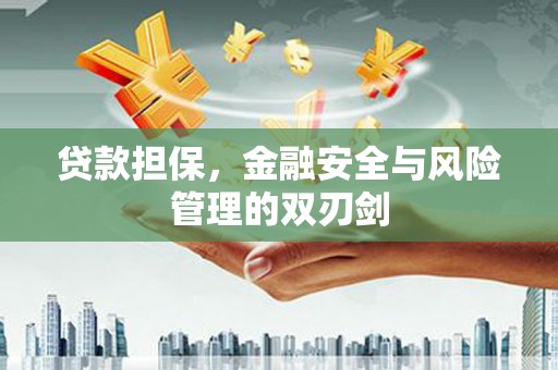 五华贷款担保，金融安全与风险管理的双刃剑