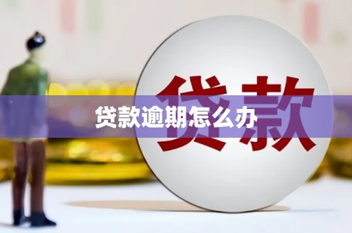 五华贷款逾期怎么办