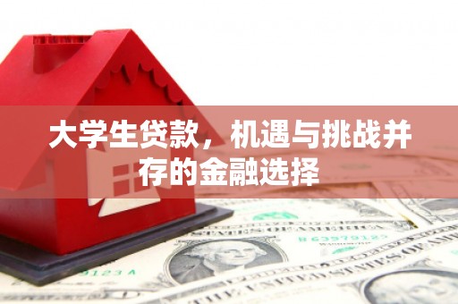 五华大学生贷款，机遇与挑战并存的金融选择
