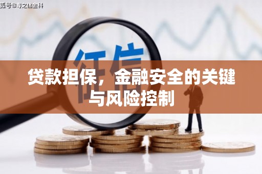 五华贷款担保，金融安全的关键与风险控制