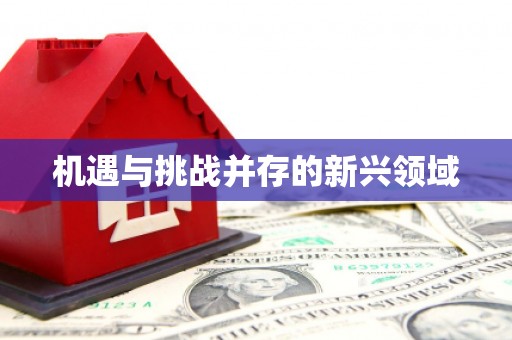 五华机遇与挑战并存的新兴领域