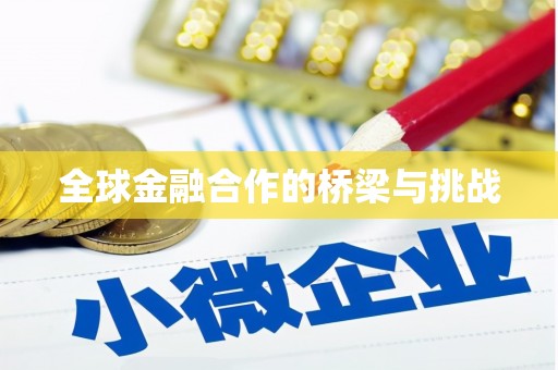 五华全球金融合作的桥梁与挑战