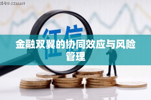 五华金融双翼的协同效应与风险管理