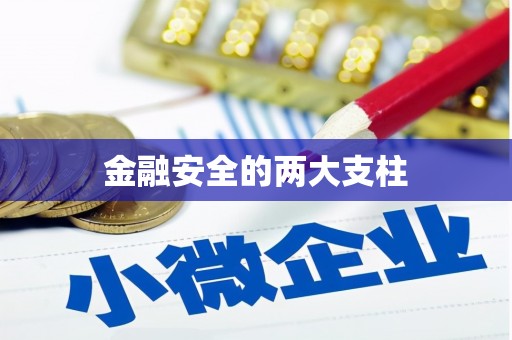 五华金融安全的两大支柱