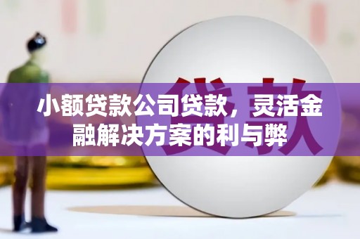 五华小额贷款公司贷款，灵活金融解决方案的利与弊